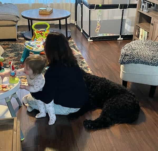 accidental camouflage