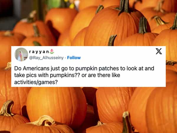 american halloween memes Do Americans just go to pumpkin patches to look at and take pics with pumpkins?? or are there like activities/games?