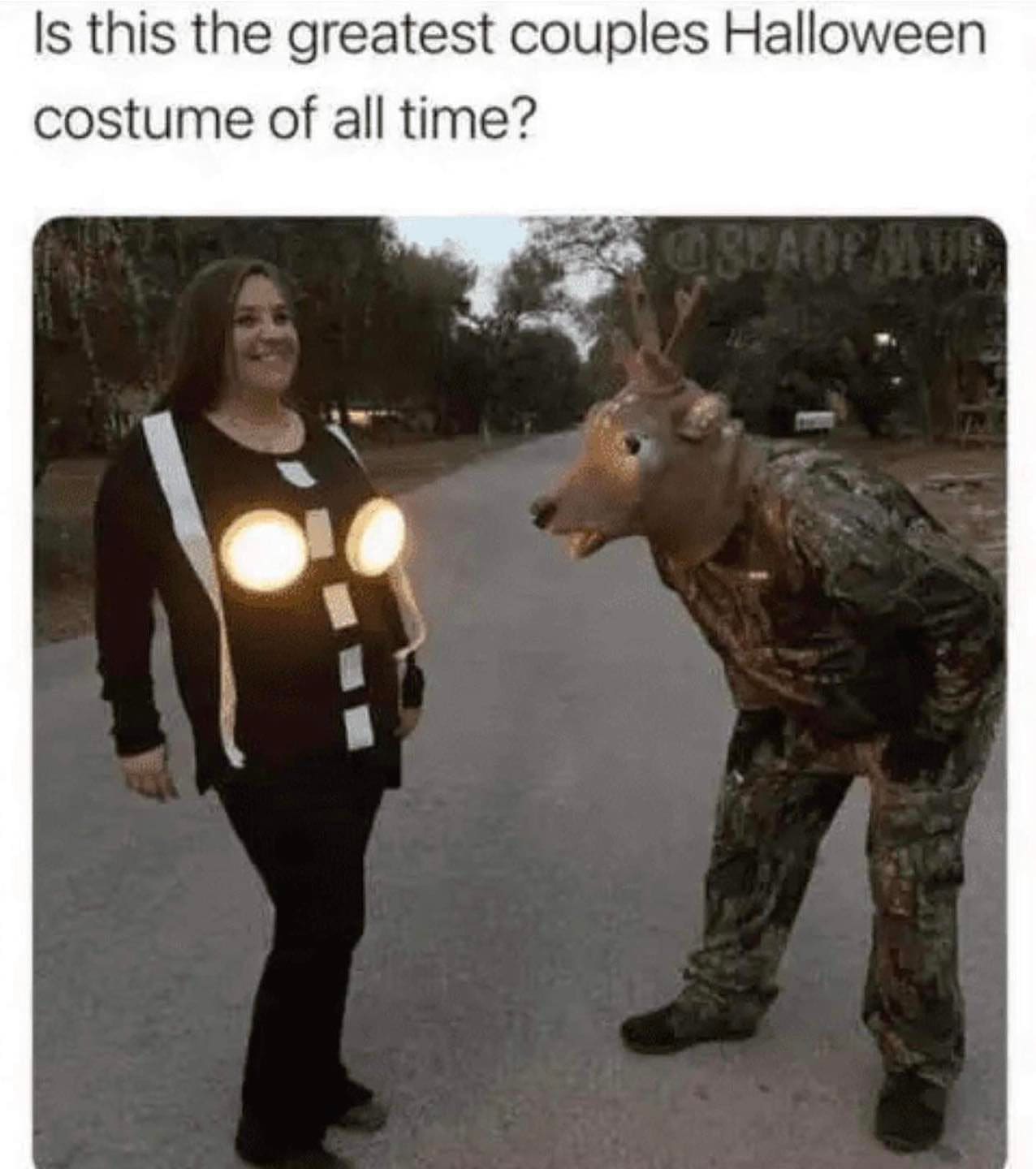 best halloween costumes 2023 headlights deer