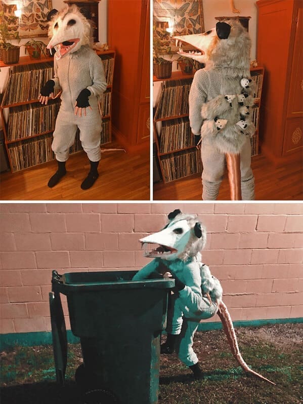 best halloween costumes 2023 possum