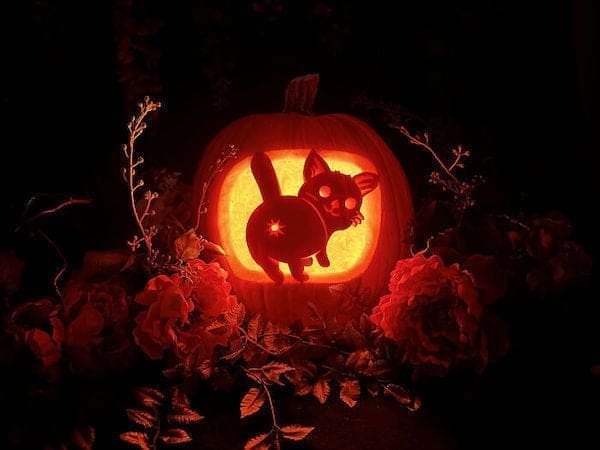best pumpkin carving design cat butt