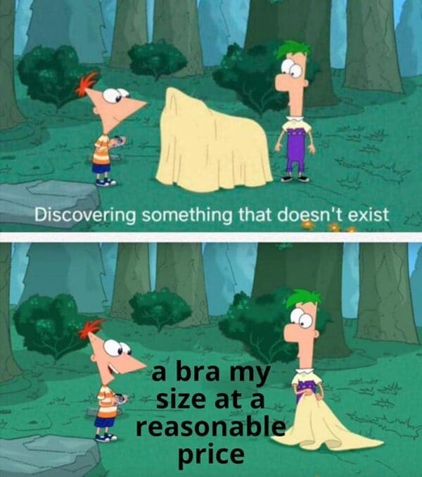 29 Memes About Big Boob Problems The Struggle is Real — free download
