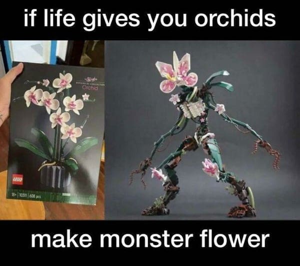 Boss mode if life gives you orchids make monster flower