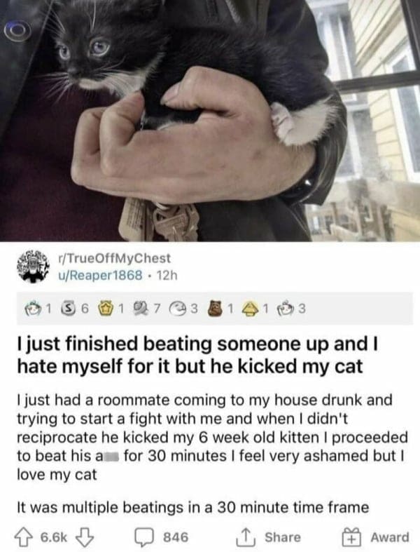 Boss mode I just finished beating someone up and I hate myself for it but he kicked my cat just had a roommate coming to my house drunk and trying to start a fight with me and when I didn't reciprocate he kicked my 6 week old kitten I proceeded to beat his am for 30 minutes I feel very ashamed but I love my cat It was multiple beatings in a 30 minute time frame