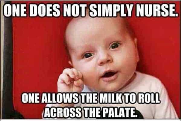 breastfeeding memes ONE DOES NOT SIMPLY NURSE. ONE ALLOWS THE MILK TO ROLL ACROSS THE PALATE