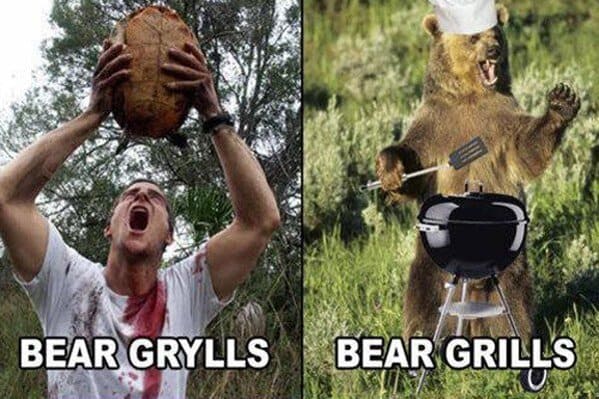 celebrity name puns BEAR GRYLLS BEAR GRILLS