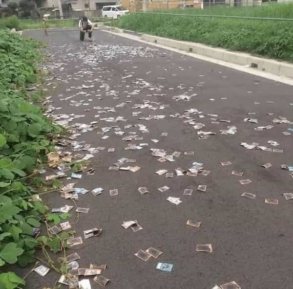 cursed images yugioh cards on street