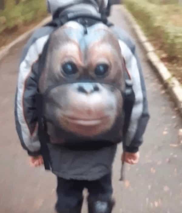 cursed images orangutan backpack