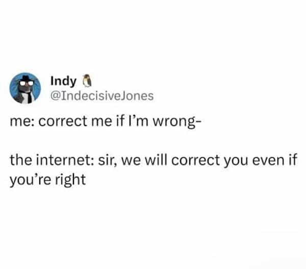 depressing memes me: correct me if I'm wrong- the internet: sir, we will correct you even if you're right