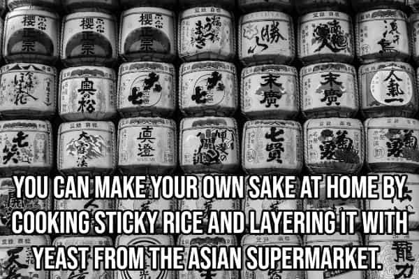drinking hacks YOU CAN MAKE YOUR OWN SAKE AT HOME BY COOKING STICKY RICE AND LAYERING IT WITH * YEAST FROM THE ASIAN SUPERMARKET.