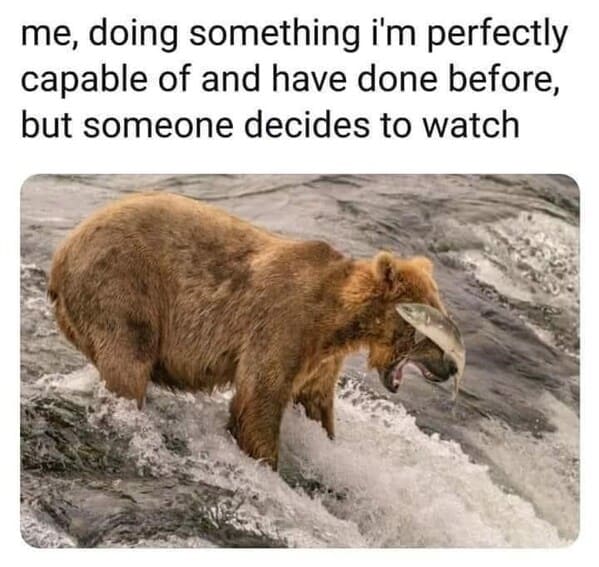 funny animal memes me, doing something i'm perfectly capable of and have done before, but someone decides to watch