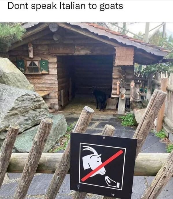 funny animal memes Dont speak Italian to goats