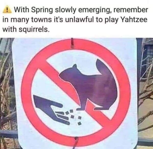 funny animal memes With Spring slowly emerging, remember in many towns it's unlawful to play Yahtzee with squirrels.