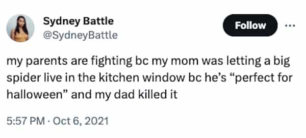 funny halloween tweets my parents are fighting be my mom was letting a big spider live in the kitchen window be he's "perfect for halloween" and my dad killed it
