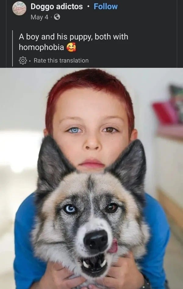 funny memes When you are really looking forward to food and it gets delivered and tastes like fucking