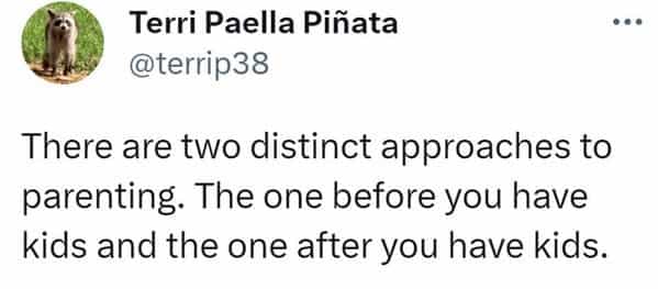 There are two distinct approaches to parenting. The one before you have kids and the one after you have kids.