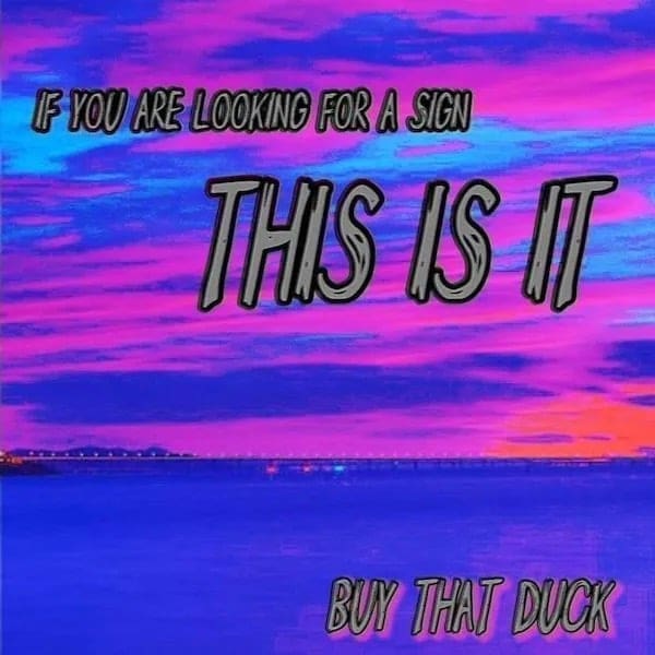 funny memes IF YOU ARE LOOKING FOR A SIGN THIS IS I BUY THAT DUCK