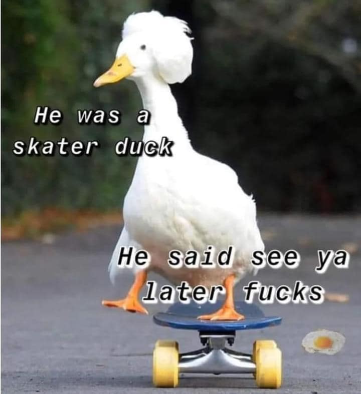 hilarious memes