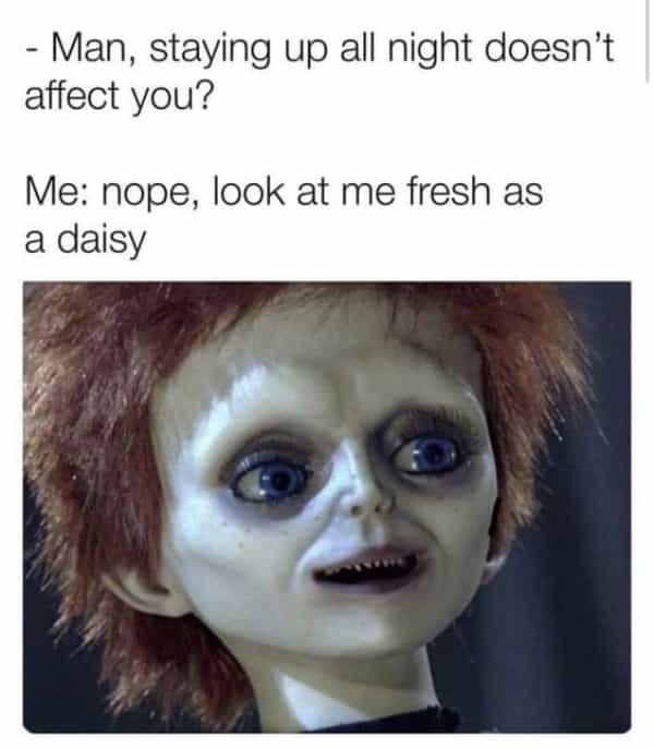 horror memes Man, staying up all night doesn't affect you? Me: nope, look at me fresh as a daisy