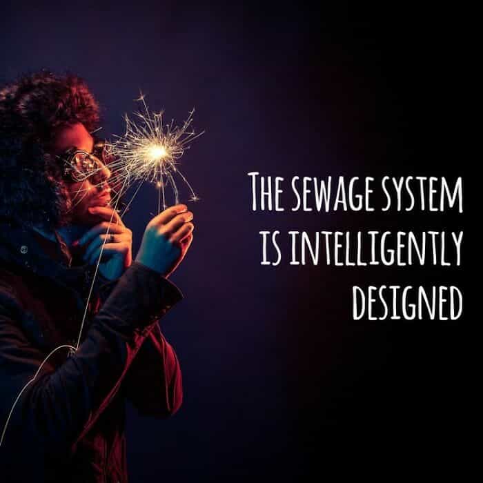 inspirobot THE SEWAGE SYSTEM IS INTELLIGENTLY DESIGNED