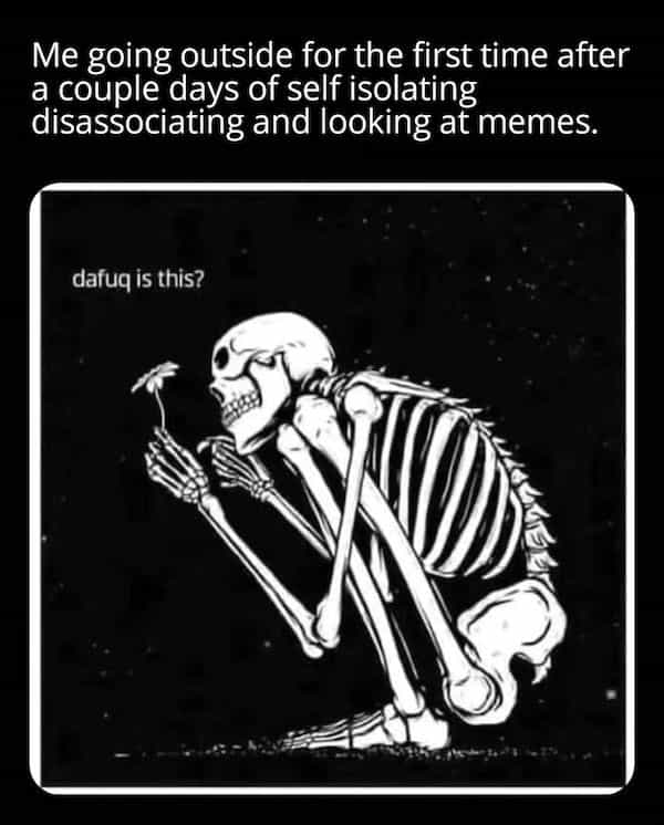 introvert memes Me going outside for the first time after a couple days of self isolating disassociating and looking at memes.