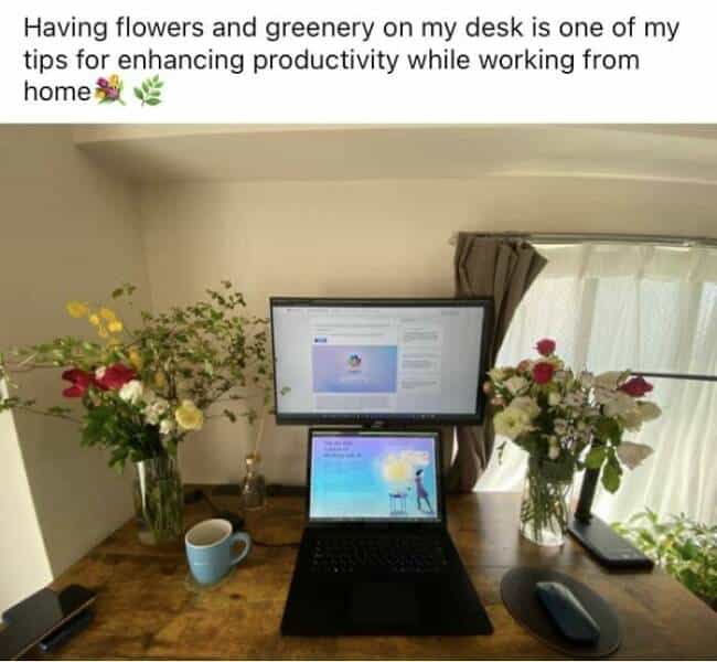 linkedin memes Having flowers and greenery on my desk is one of my tips for enhancing productivity while working from home