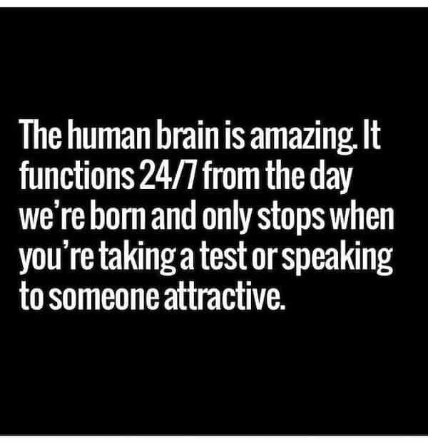 being single memes The human brain is amazing. It functions 24/7 from the day we're born and only stops when you're taking a test or speaking to someone attractive.