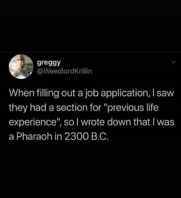 over 30 memes When filling out a job application, I saw they had a section for "previous life experience", so I wrote down that I was a Pharaoh in 2300 B.C.