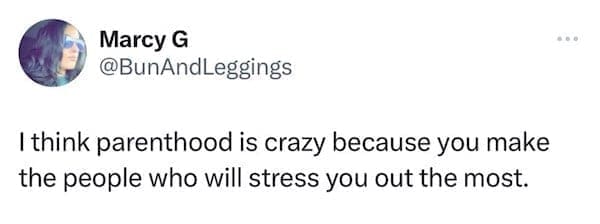 funny parenting tweets I think parenthood is crazy because you make the people who will stress you out the most.