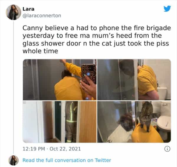Scottish twitter Canny believe a had to phone the fire brigade yesterday to free ma mum's heed from the glass shower door n the cat just took the piss whole time