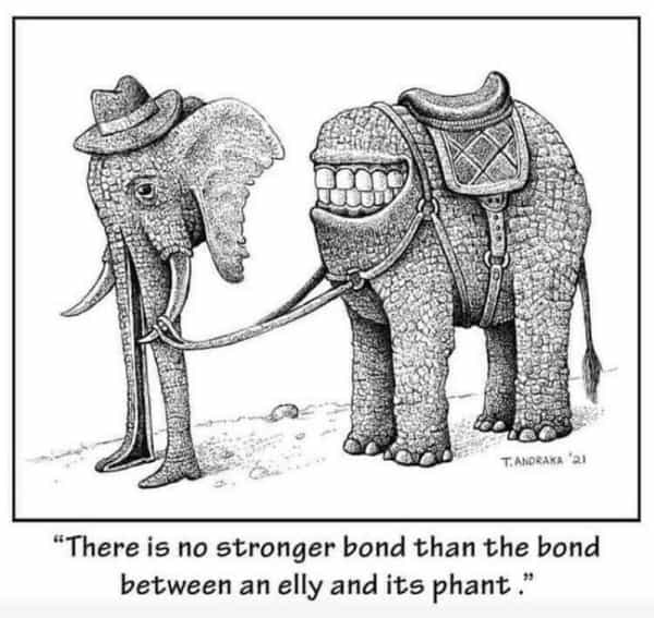surreal memes "There is no stronger bond than the bond between an elly and its phant."