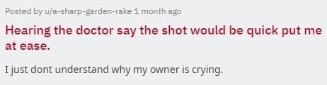 two sentence horror stories Hearing the doctor say the shot would be quick put me at ease. I just dont understand why my owner is crying.