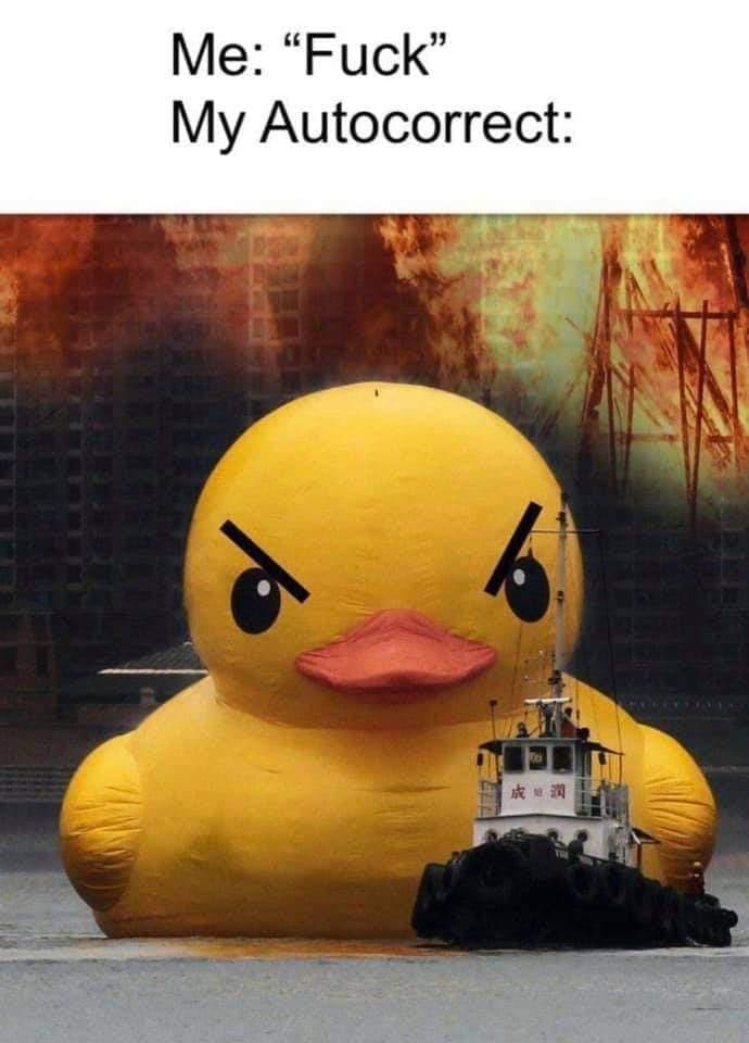 bird memes Me: "F*ck" My Autocorrect:
