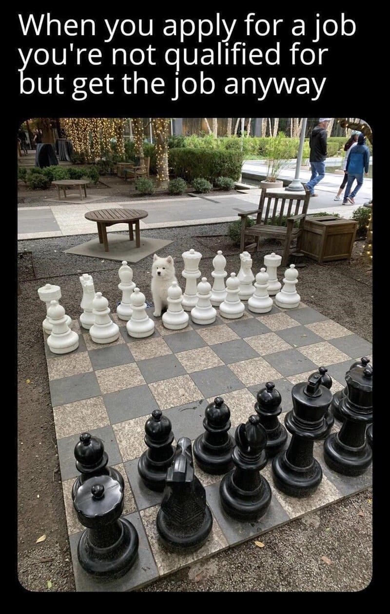 board games memes When you apply for a job you're not qualified for but get the job anyway