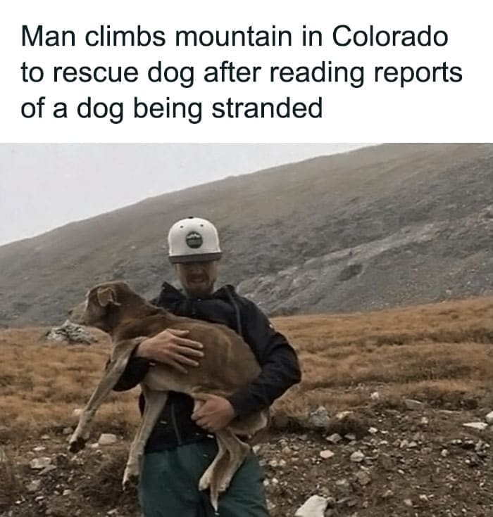 Bros helping bros Man climbs mountain in Colorado to rescue dog after reading reports of a dog being stranded