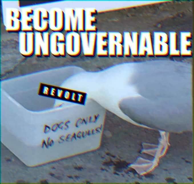 classic memes