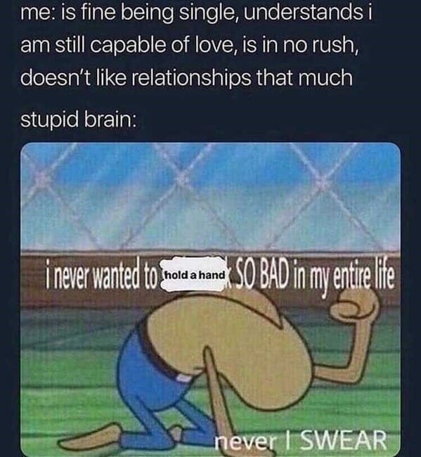dating memes me: is fine being single, understands i am still capable of love, is in no rush, doesn't like relationships that much stupid brain: I never wanted to madame SO BAD in my entre lie never I SWEAR