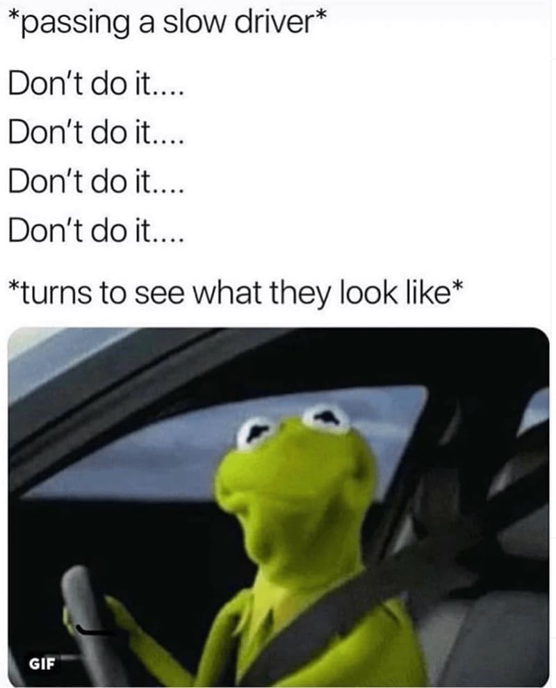 driving memes *passing a slow driver* Don't do it. ... Don't do it….. Don't do it.... Don't do it… *turns to see what they look like*