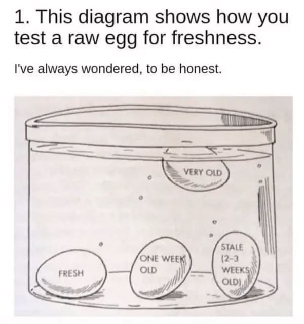 food chart 1. This diagram shows how you test a raw egg for freshness. I've always wondered, to be honest.