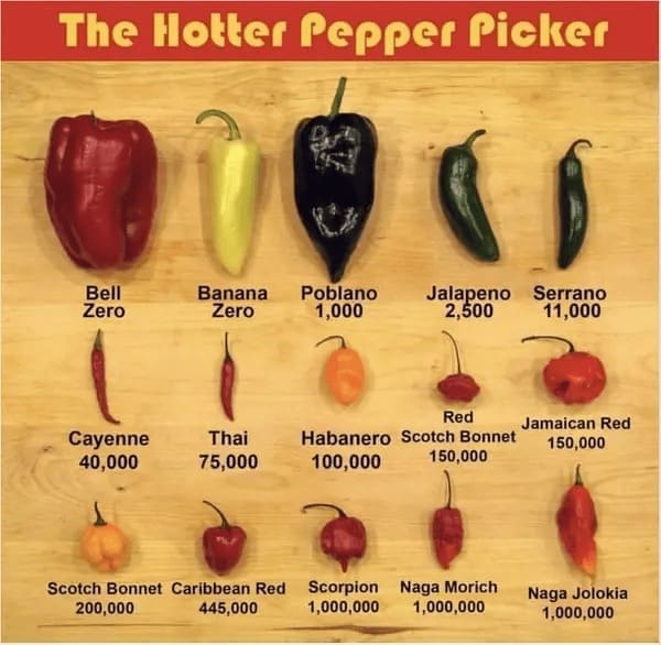 food chart The Hotter Pepper Picker Bell Zero Banana Zero Poblano 1,000 Jalasono Serano