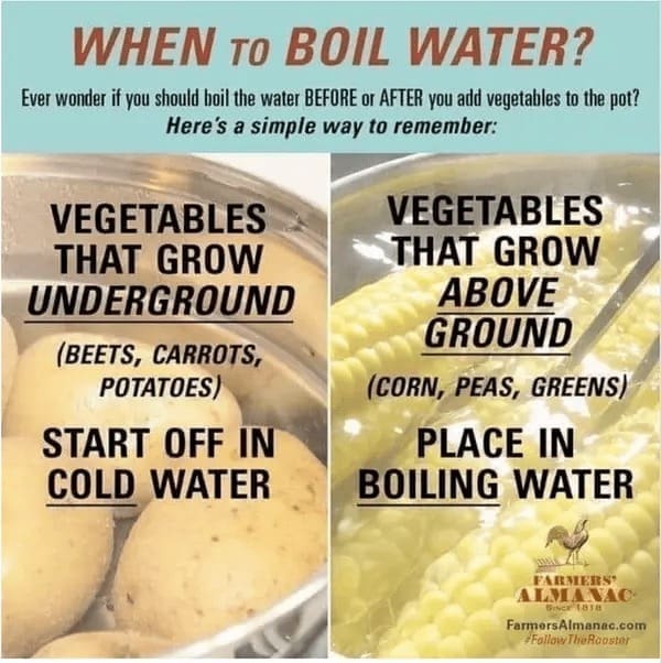 food chart WHEN to BOIL WATER? Ever wonder if you should boil the water BEFORE or AFTER you add vegetables to the pot? Here's a simple way to remember: VEGETABLES THAT GROW UNDERGROUND (BEETS, CARROTS, POTATOES) START OFF IN COLD WATER VEGETABLES THAT GROW ABOVE GROUND (CORN, PEAS, GREENS) PLACE IN BOILING WATER