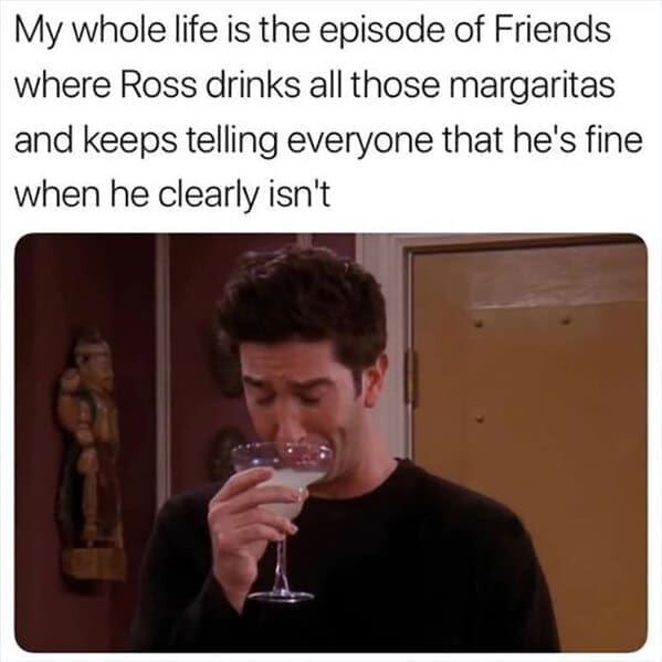 friends the show memes My whole life is the episode of Friends where Ross drinks all those margaritas and keeps telling everyone that he's fine when he clearly isn't