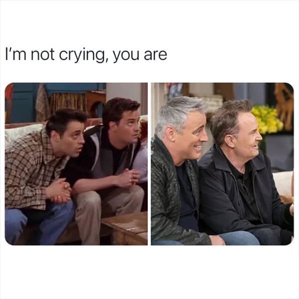 friends the show memes I'm not crying, you are