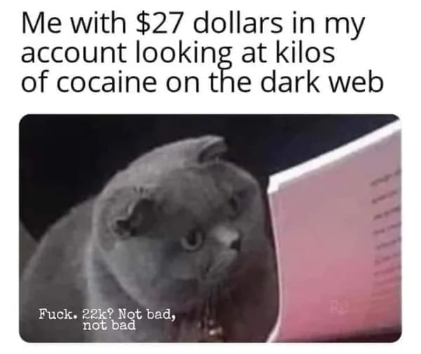 funny memes Me with $27 dollars in my account looking at kilos of cocaine on the dark web