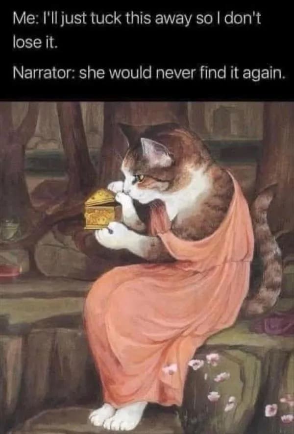 funny memes Me: I'll just tuck this away so I don't lose it. Narrator: she would never find it again.