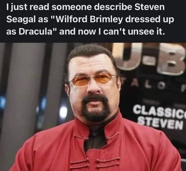 funny memes I just read someone describe Steven Seagal as "Wilford Brimley dressed up as Dracula" and now I can't unsee it.