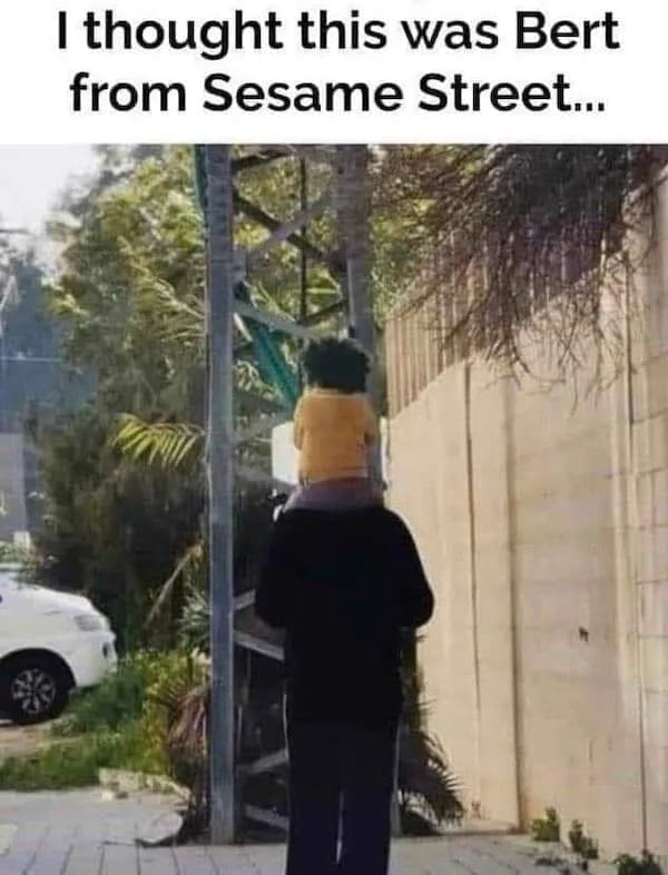 funny memes I thought this was Bert from Sesame Street...