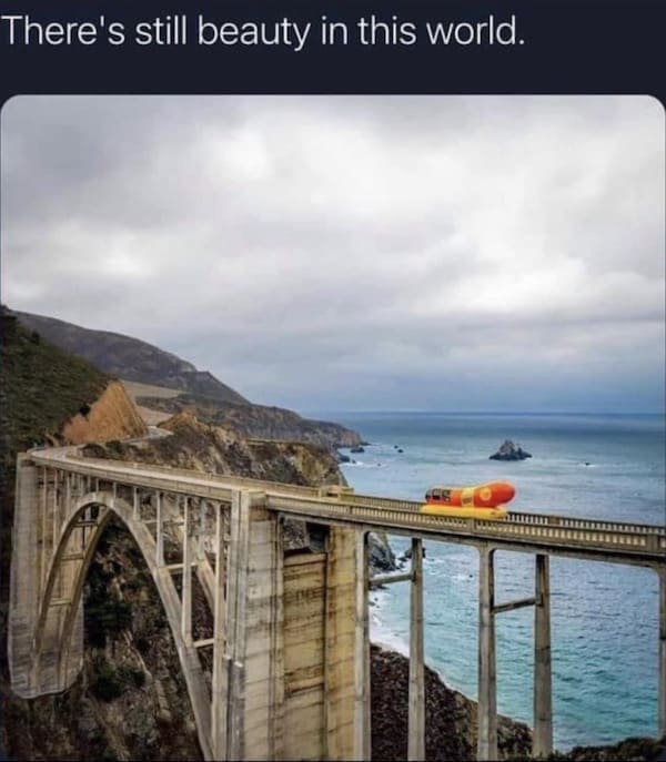 funny memes There's still beauty in this world. hot dog car