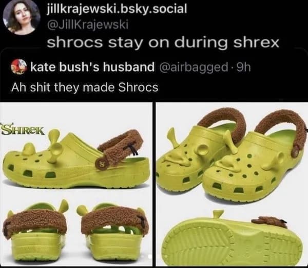 funny memes shrocs stay on during shrex kate bush's husband @airbagged • 9h Ah they made Shrocs