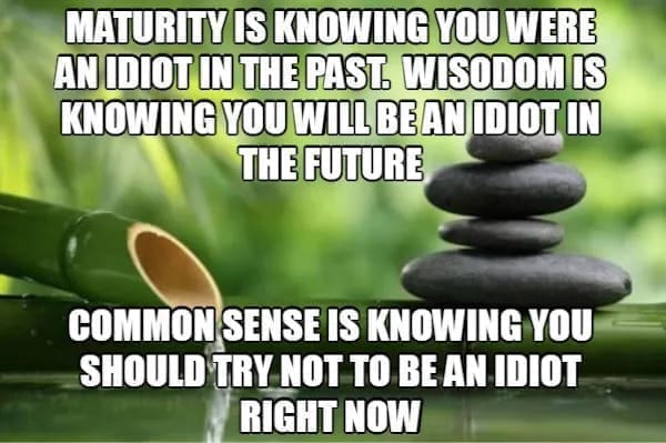 funny memes MATURITY IS KNOWING YOU WERE AN IDIOT IN THE PAST. WISODOM IS KNOWING YOU WILL BE AN IDIOT IN THE FUTURE COMMON SENSE IS KNOWING YOU SHOULD TRY NOT TO BE AN IDIOT RIGHT NOW